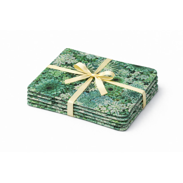 Placemat - Water Resistant - Green Succulent