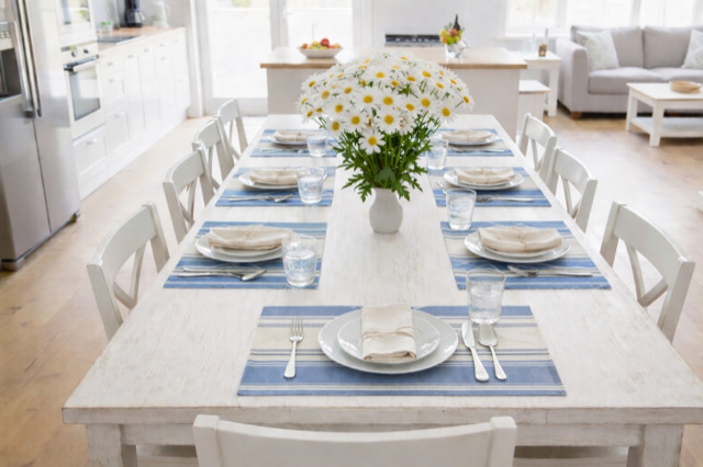 Placemat - Water Resistant - Thick Blue Stripe - Image 4
