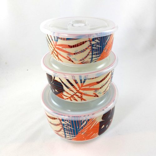 Dynamic-Food-Containers-Peach-Ferns-Set-of-3-1.jpg